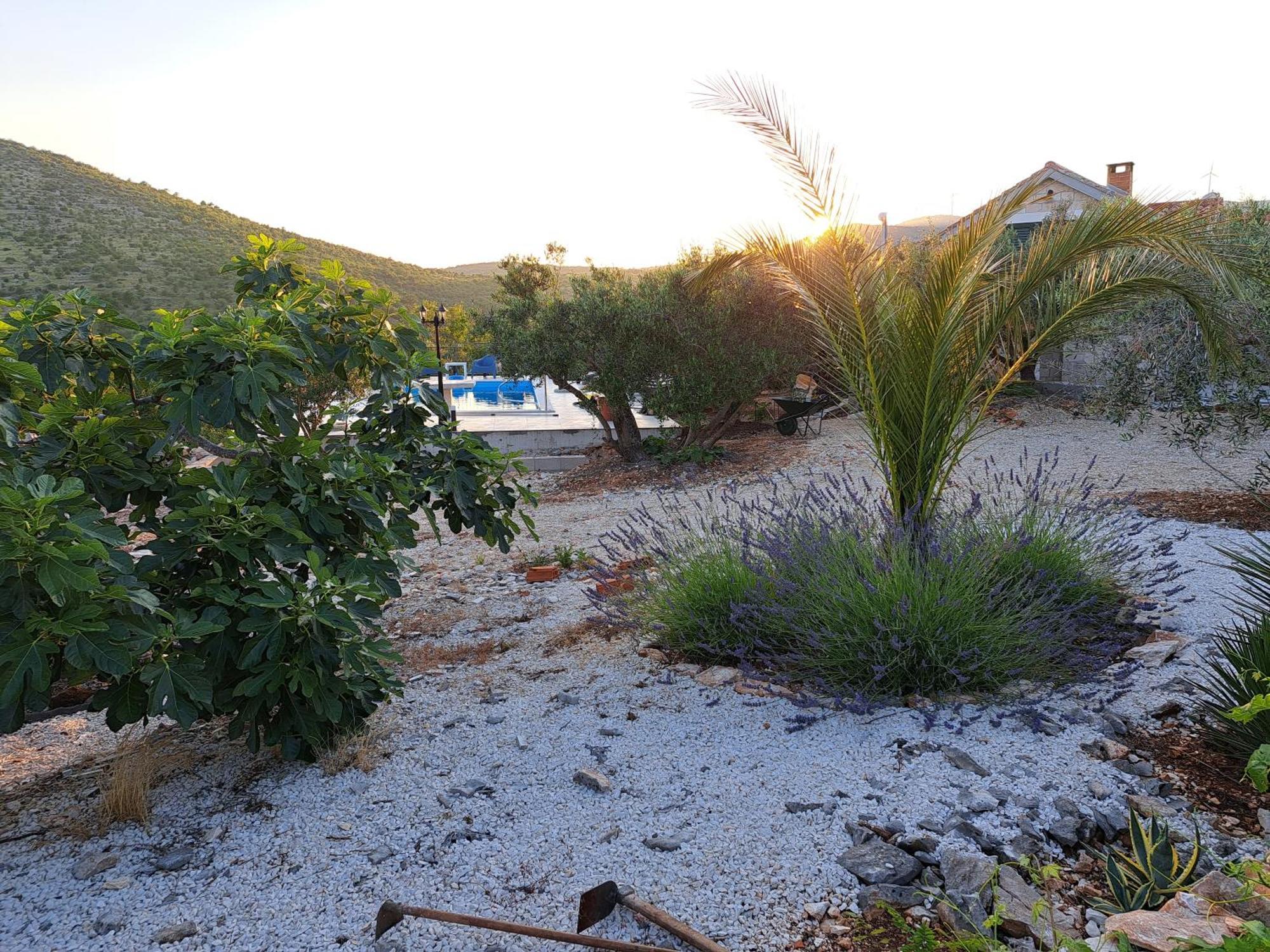 Villa Casa Mia Gornji Seget ภายนอก รูปภาพ