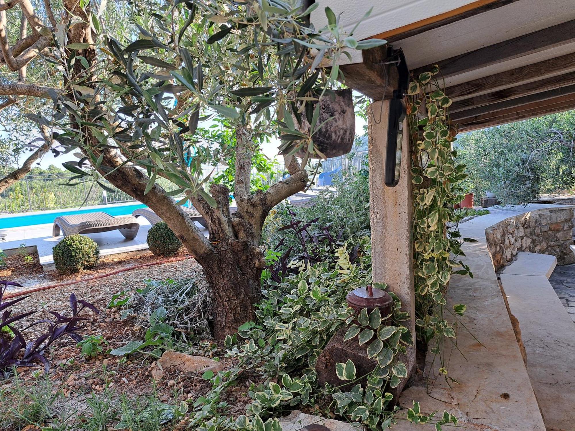 Villa Casa Mia Gornji Seget ภายนอก รูปภาพ